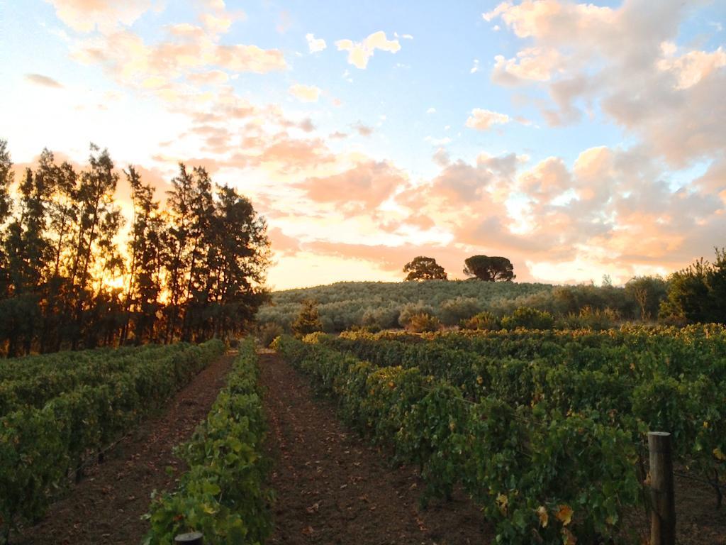 帕尔 Calais Wine Estate旅馆 外观 照片